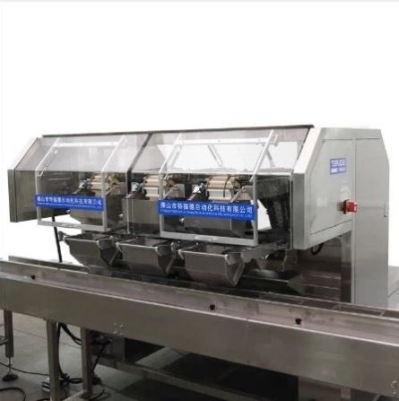 Automatic Biscuit Packing Machine